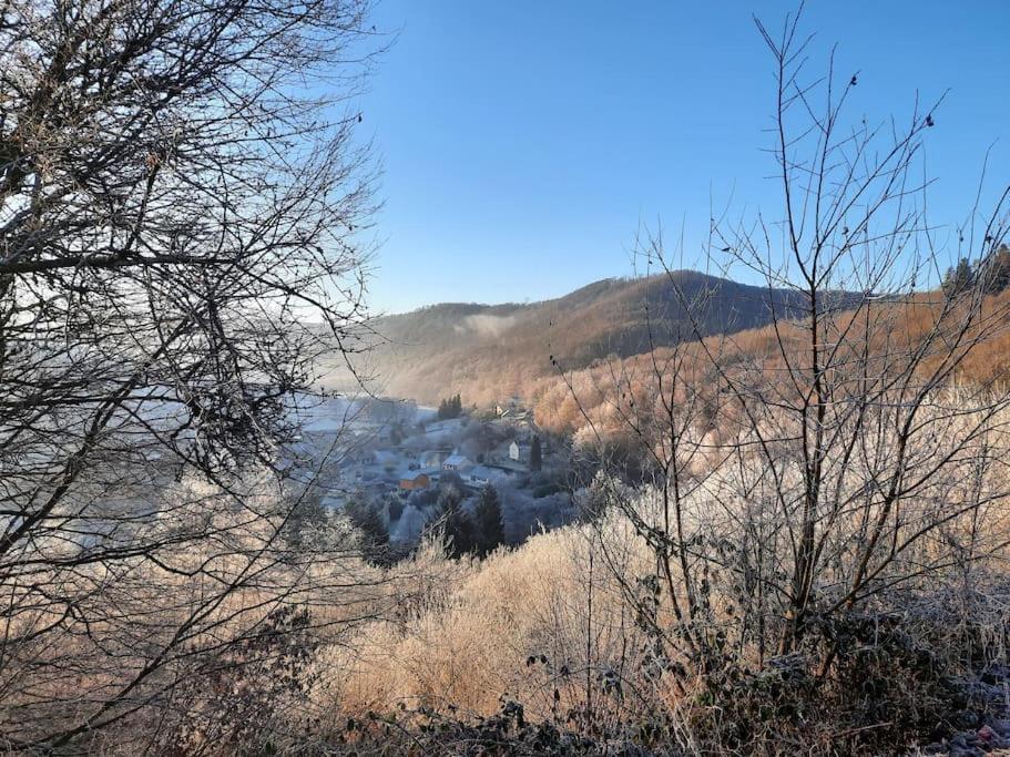 Chalet A L'Oree Du Bois Avec Parking Tournavaux Εξωτερικό φωτογραφία
