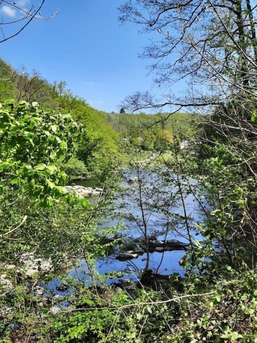 Chalet A L'Oree Du Bois Avec Parking Tournavaux Εξωτερικό φωτογραφία