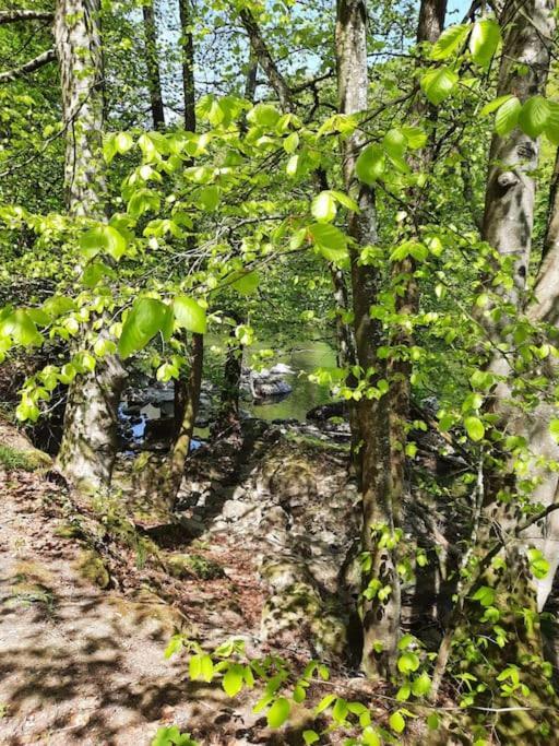 Chalet A L'Oree Du Bois Avec Parking Tournavaux Εξωτερικό φωτογραφία
